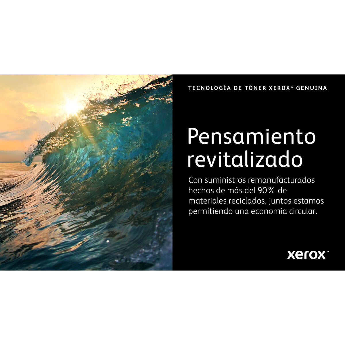 Toner Xerox 006R04626 Schwarz Magenta (1 Stück)