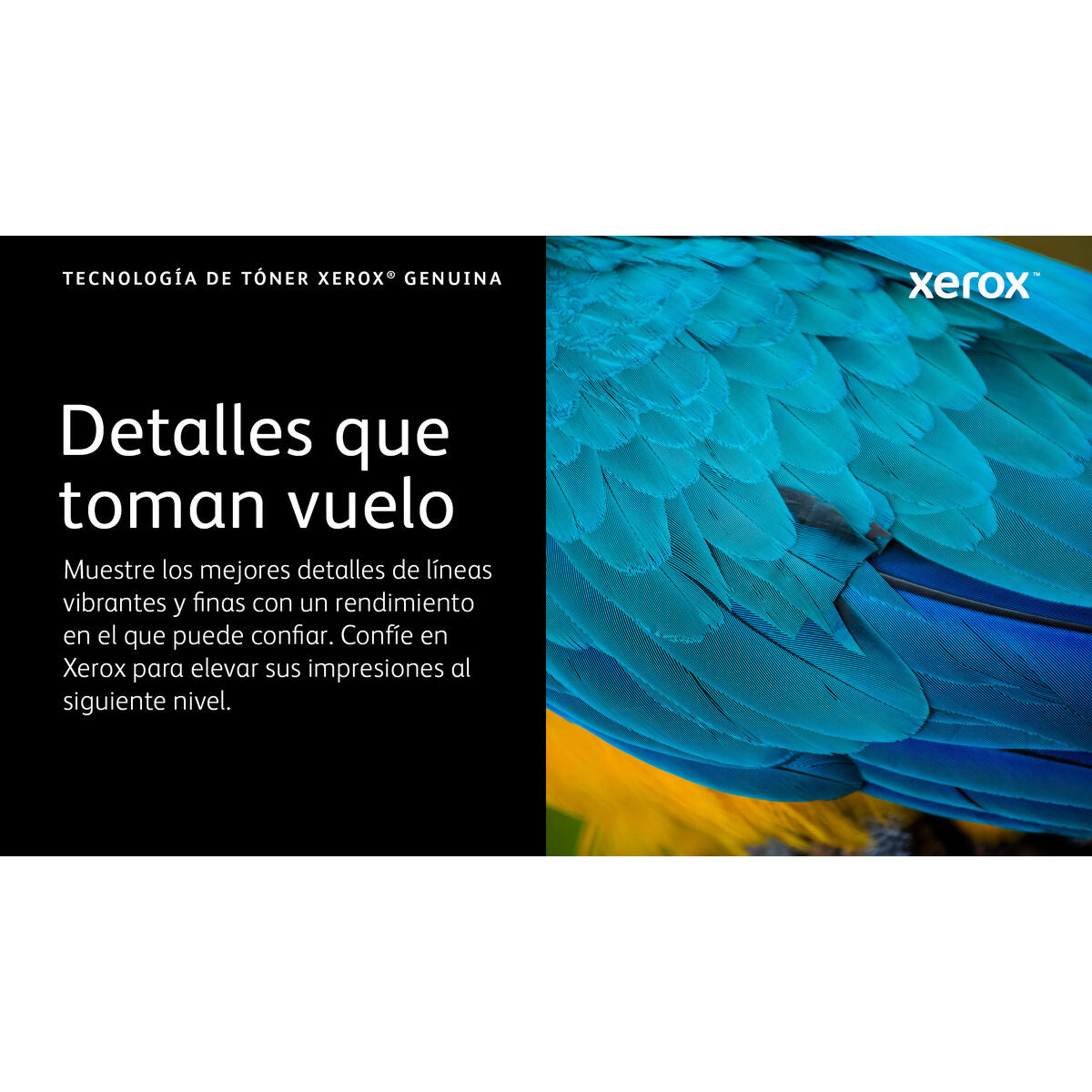 Original Toner Xerox 006R04624 Schwarz