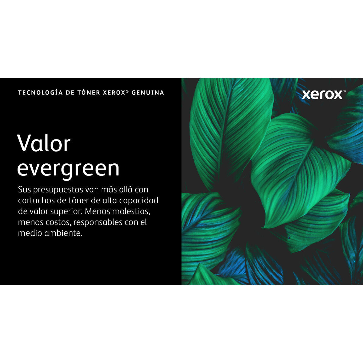 Toner Xerox 006R04627 Gelb Schwarz (1 Stück)