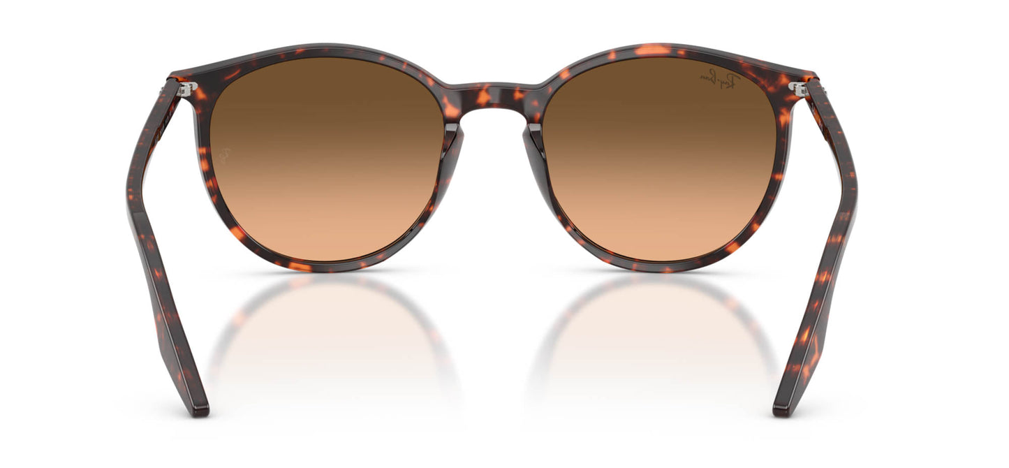 Ray-Ban RB2204