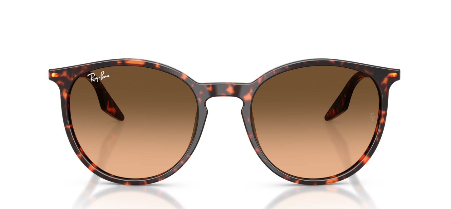 Ray-Ban RB2204