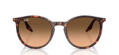 Ray-Ban RB2204