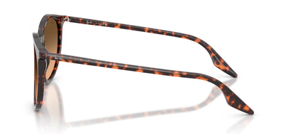 Ray-Ban RB2204