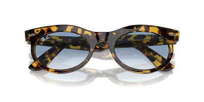 Ray-Ban Wayfarer Oval RB2242