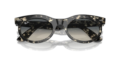 Ray-Ban Wayfarer Oval RB2242