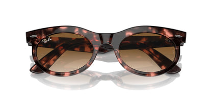 Ray-Ban Wayfarer Oval RB2242