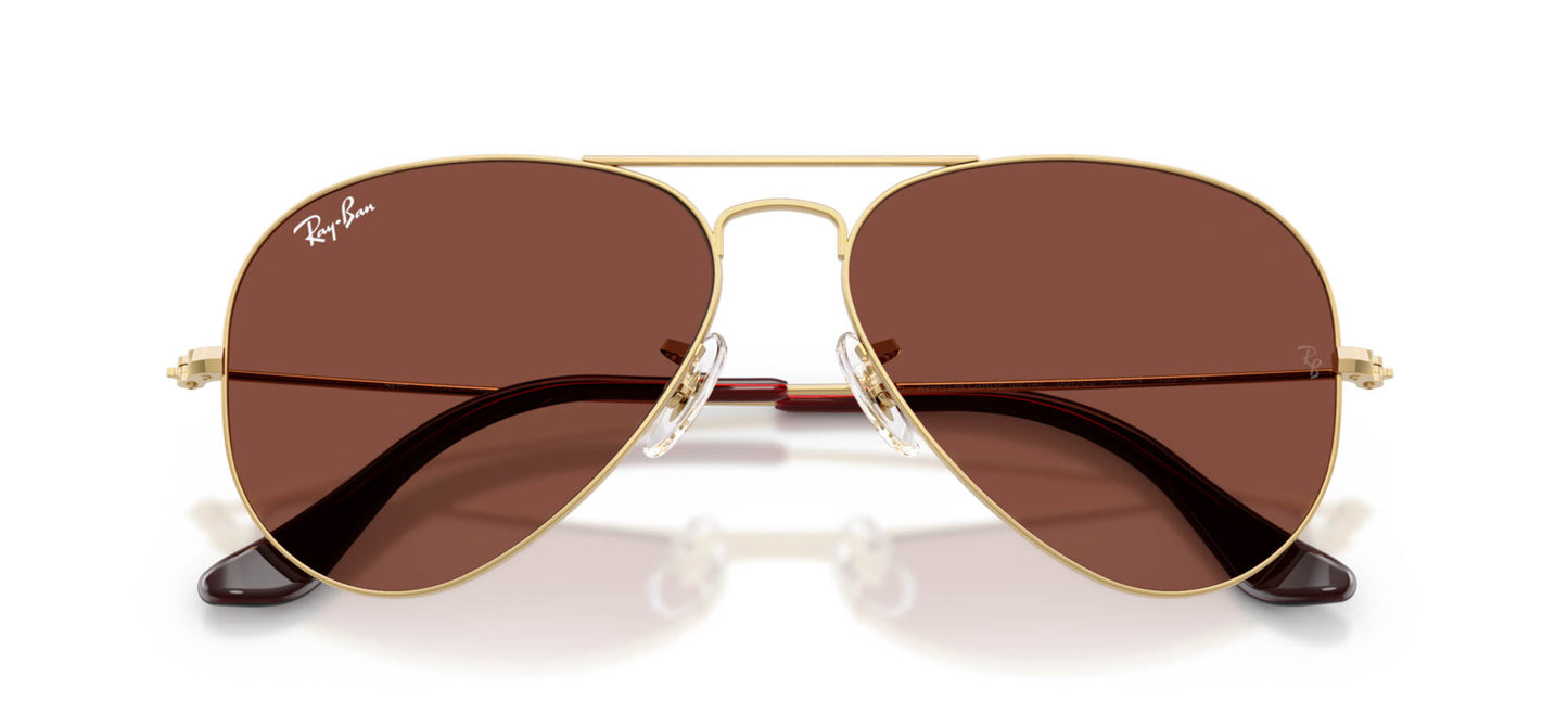 Ray-Ban Aviator RB3025 - Medium