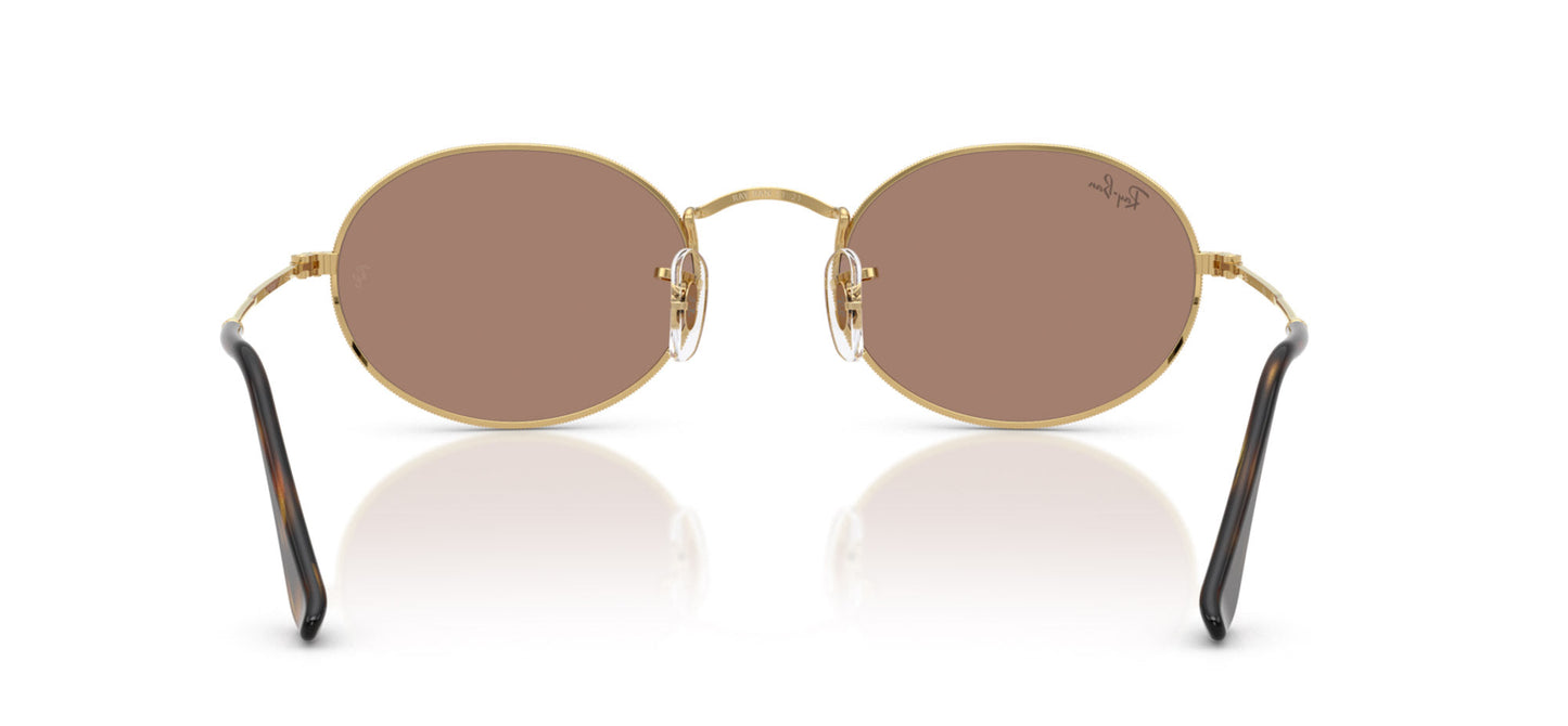 Ray-Ban RB3547
