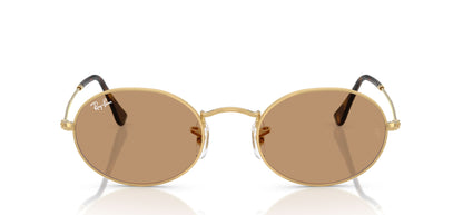 Ray-Ban RB3547