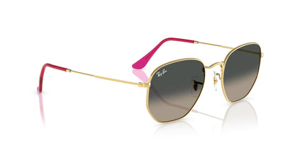 Ray-Ban Hexagonal RB3548N