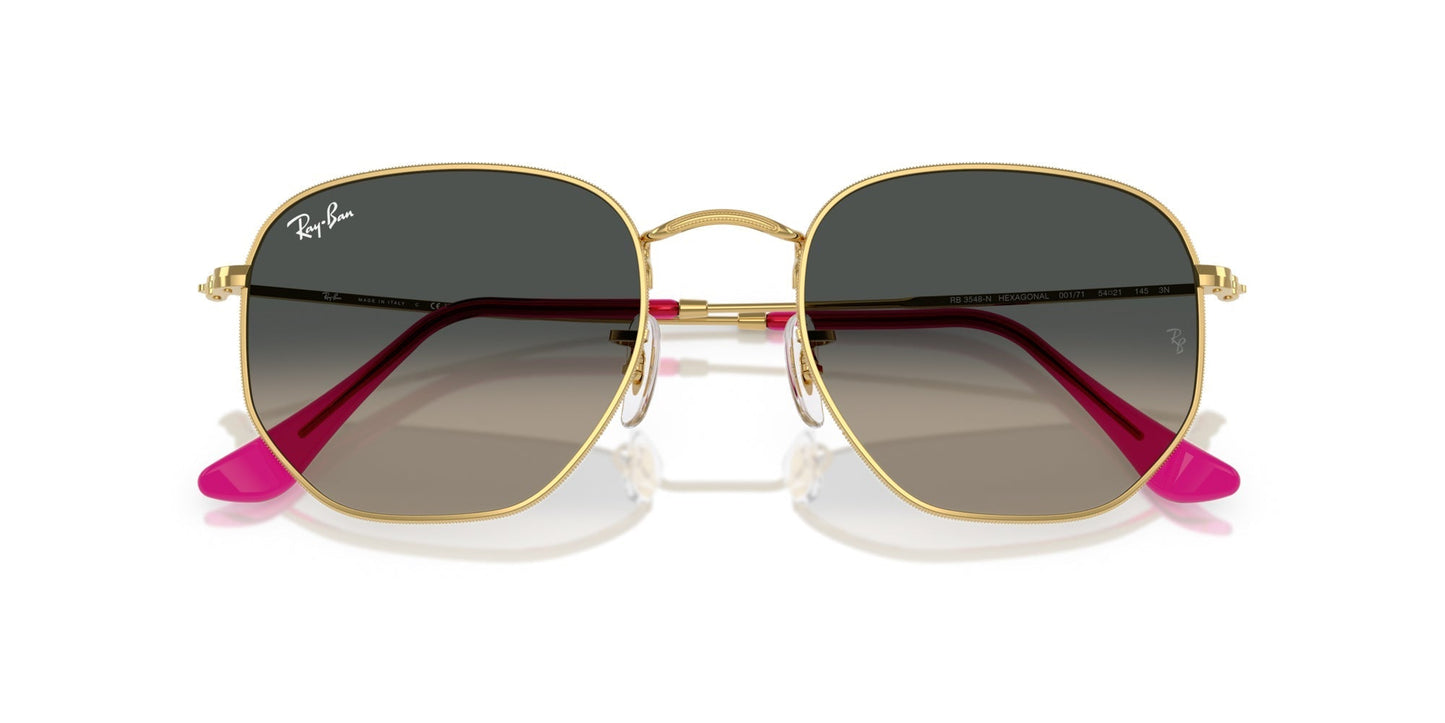 Ray-Ban Hexagonal RB3548N