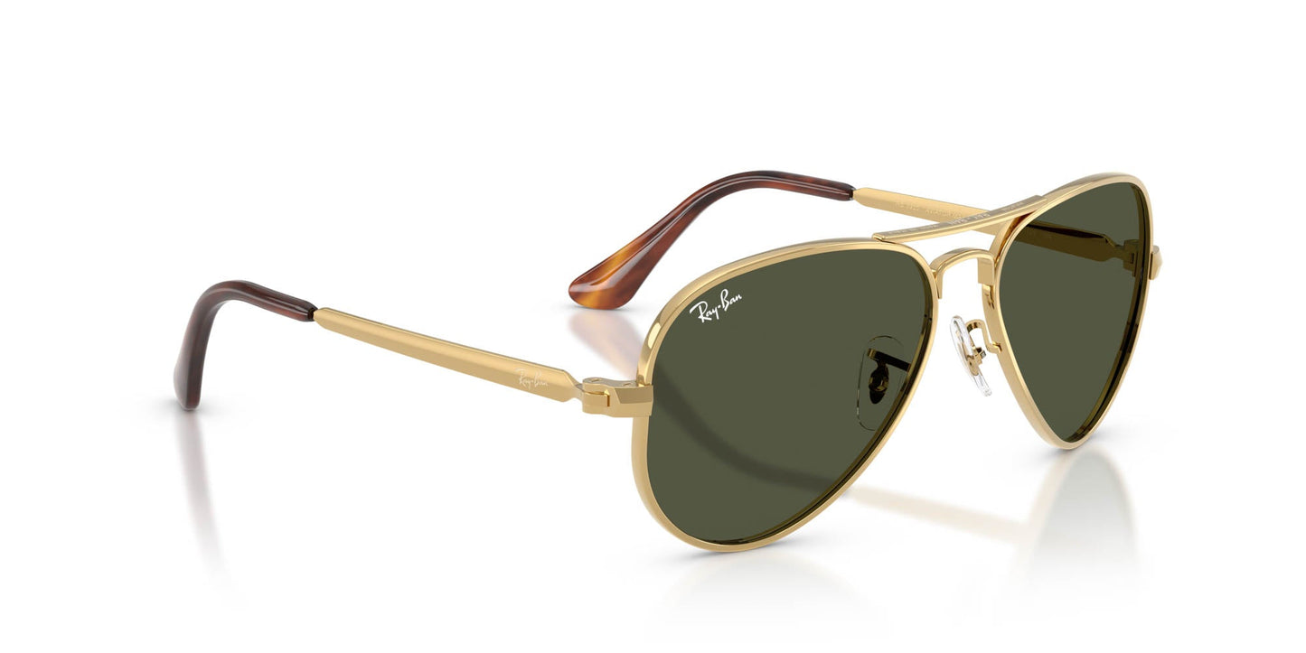Ray-Ban Aviator Max RB3925