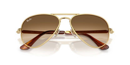 Ray-Ban Aviator Max RB3925