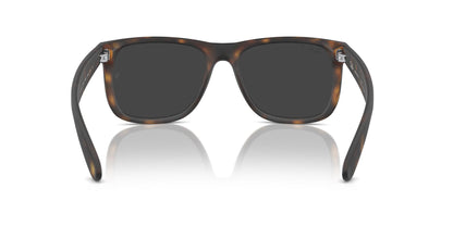 Ray-Ban Justin RB4165