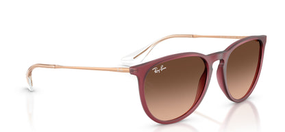 Ray-Ban Erika RB4171