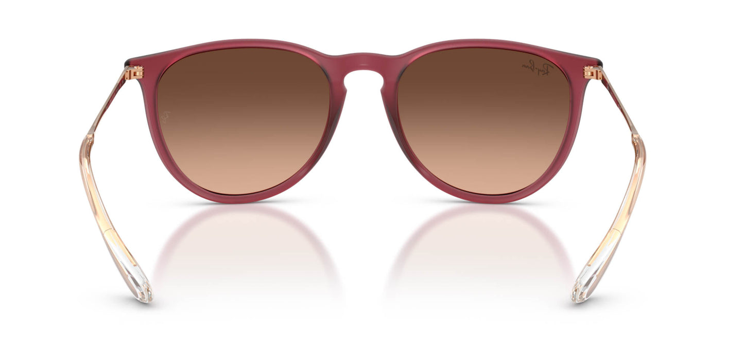 Ray-Ban Erika RB4171