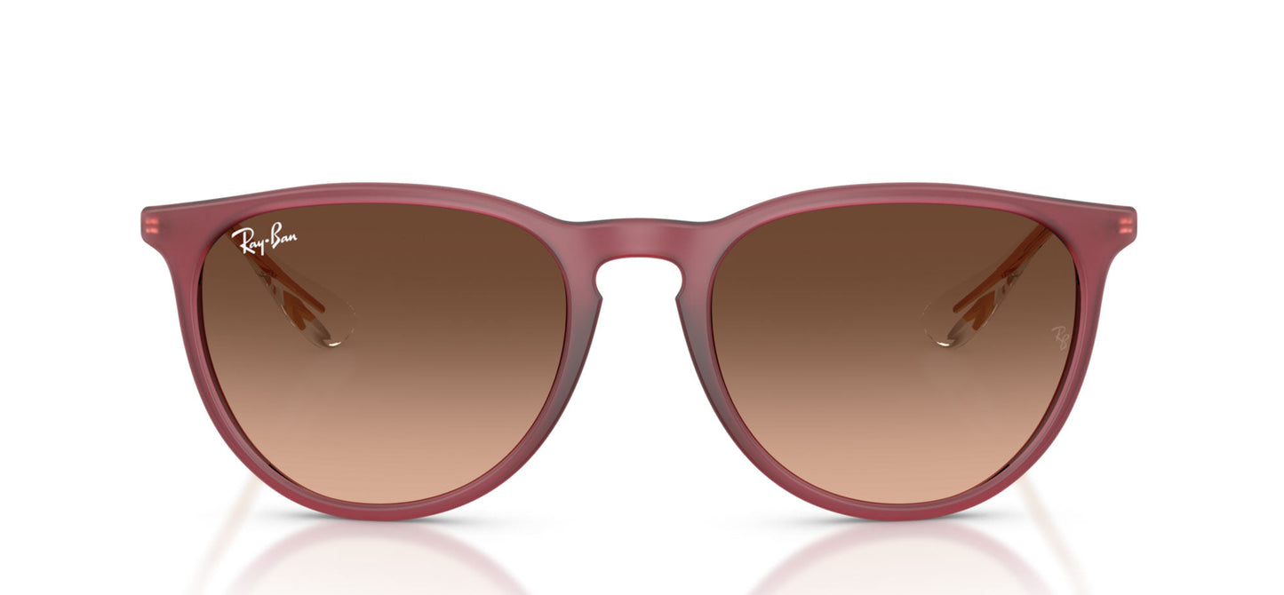 Ray-Ban Erika RB4171