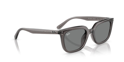 Ray-Ban RB4439D
