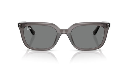 Ray-Ban RB4439D