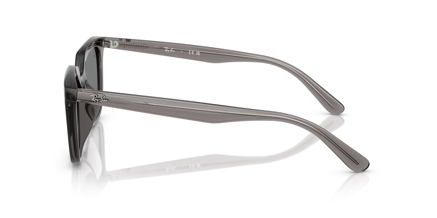 Ray-Ban RB4439D