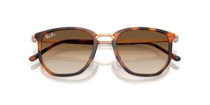 Ray-Ban RB4451