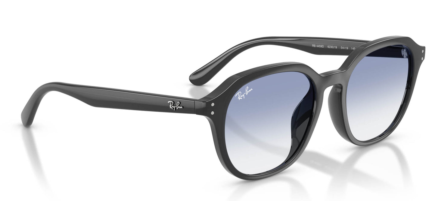 Ray-Ban RB4459D
