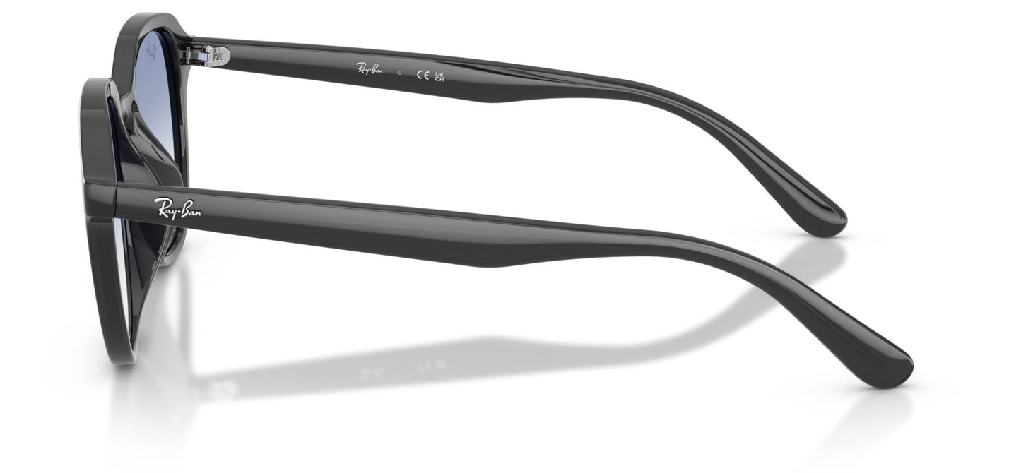 Ray-Ban RB4459D