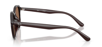 Ray-Ban RB4459D