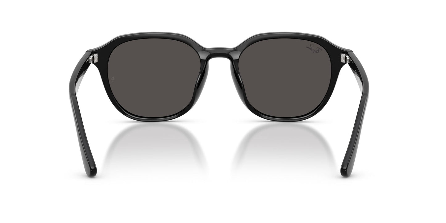Ray-Ban RB4459D