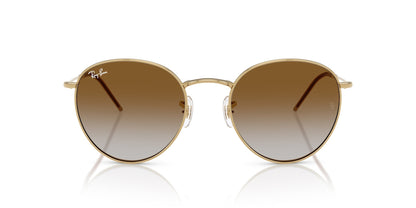 Ray-Ban Round Reverse RBR0103S