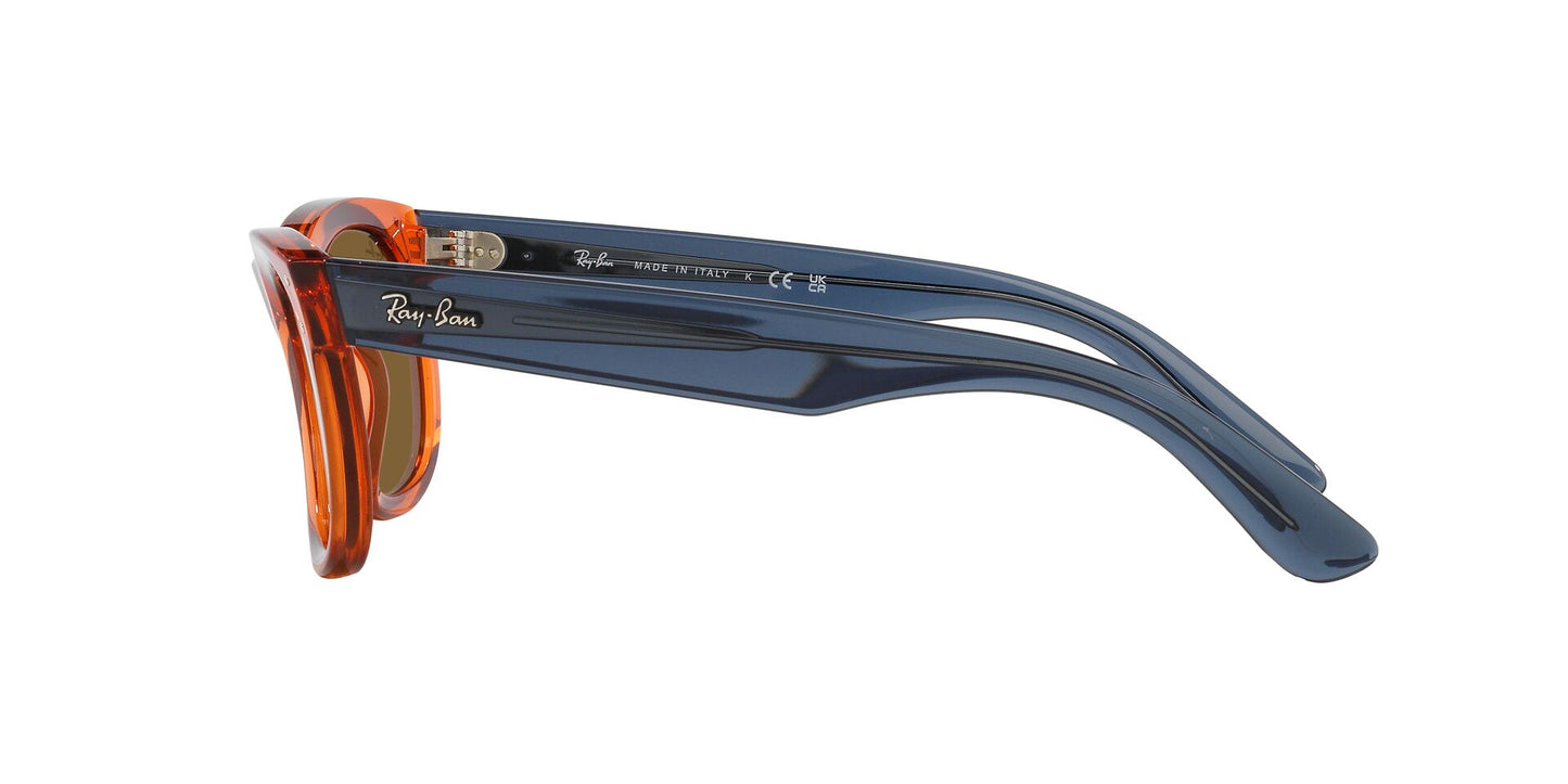 Ray-Ban Wayfarer Reverse RBR0502S