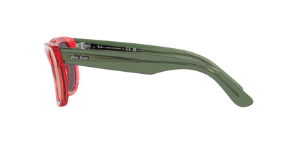 Ray-Ban Wayfarer Reverse RBR0502S
