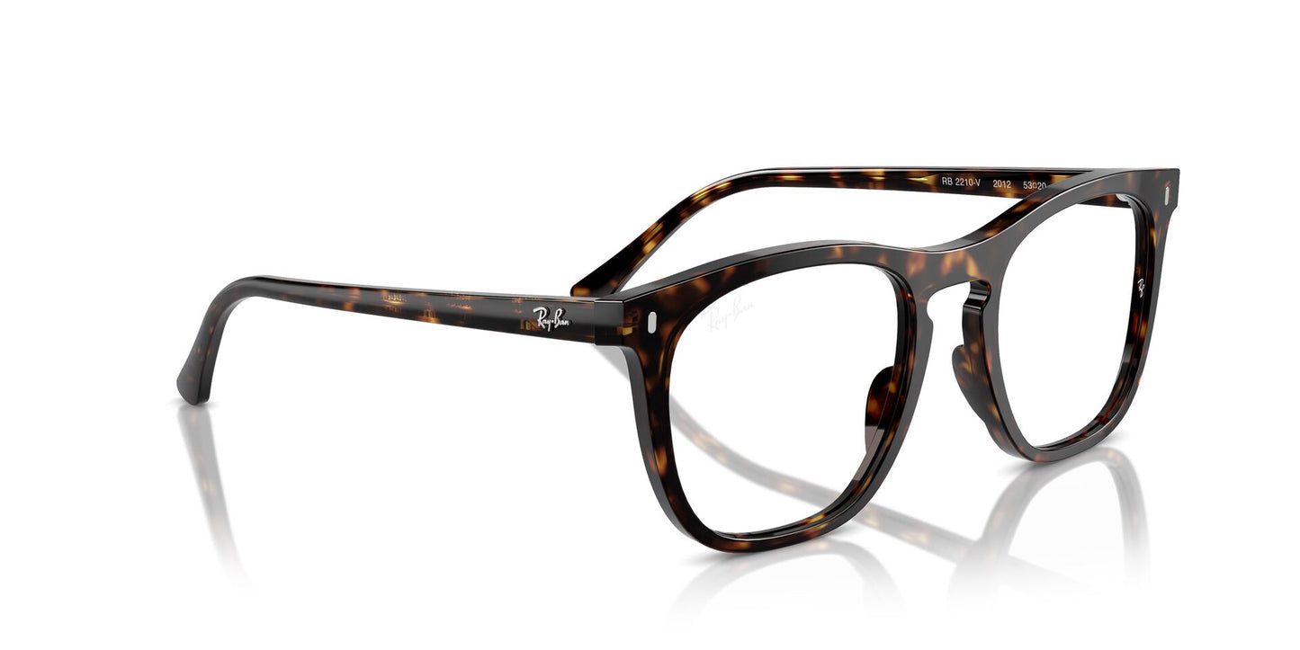 Ray-Ban RB2210V