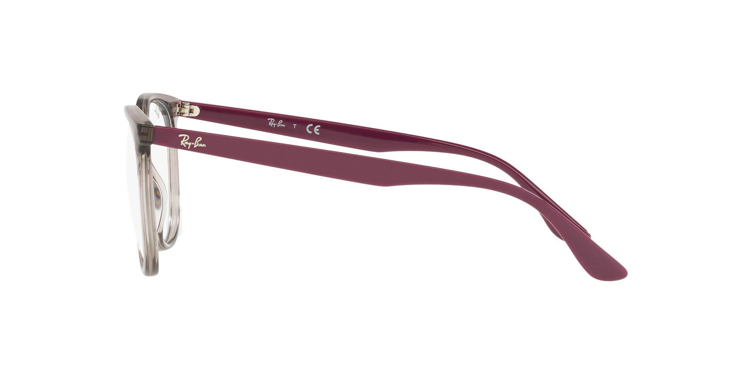 Ray-Ban RB4378V