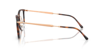 Ray-Ban RB4451V