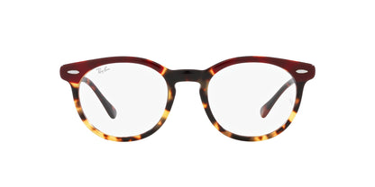 Ray-Ban Eagleeye RB5598