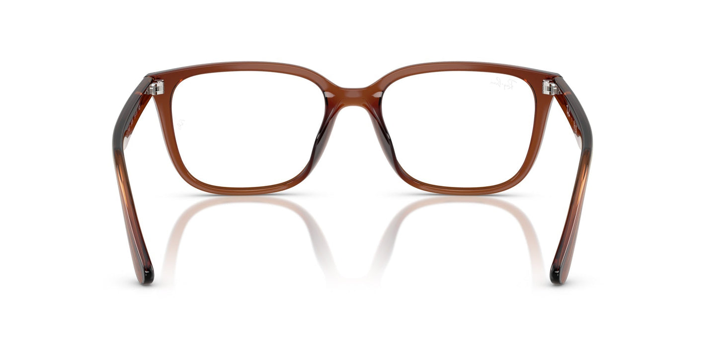 Ray-Ban RB7248D