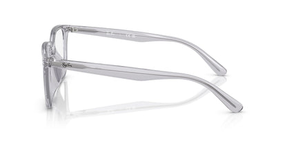 Ray-Ban RB7248D