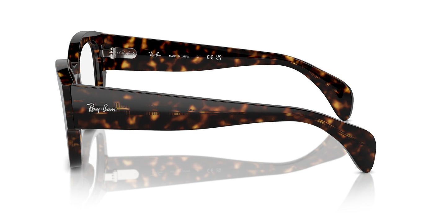 Ray-Ban Jorge RB7681V