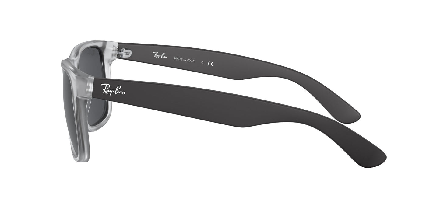 Ray-Ban Justin RB4165