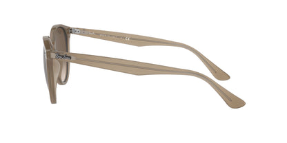 Ray-Ban RB4305