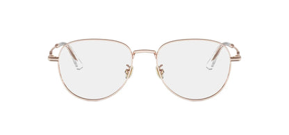 Dior Petit CDO R2U