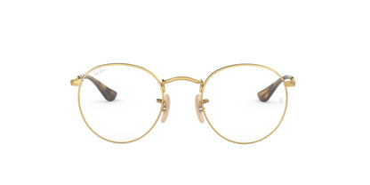 Ray-Ban RB3447V