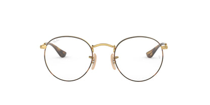 Ray-Ban RB3447V