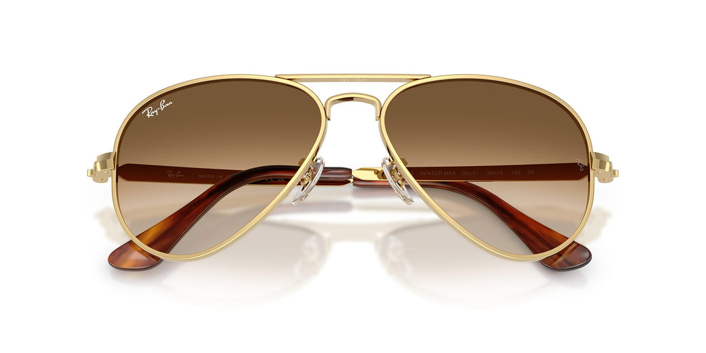 Ray-Ban Aviator Max RB3925
