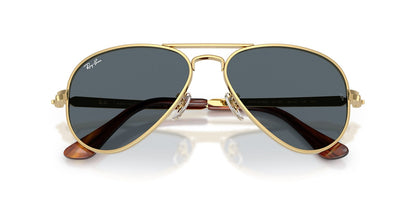 Ray-Ban Aviator Max RB3925