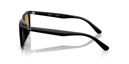 Ray-Ban RB4439D